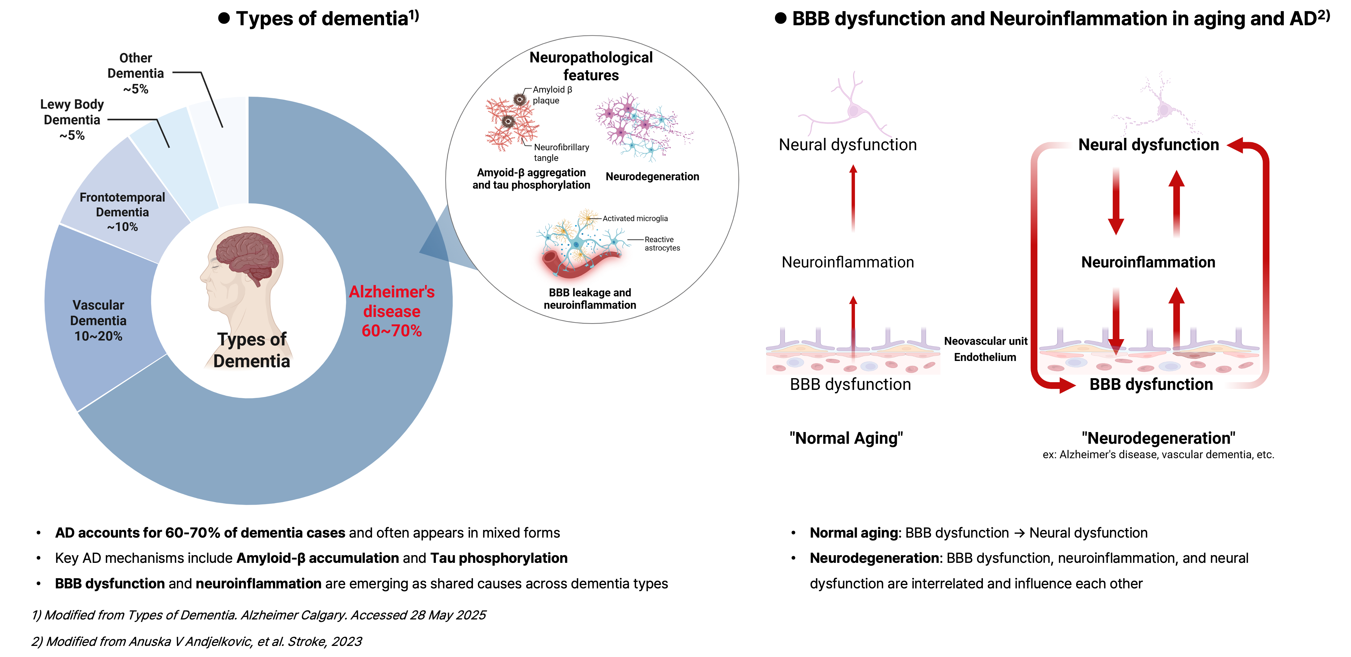 Alzheimer's Disease: The Central Role of BBB and Neuroinflammation